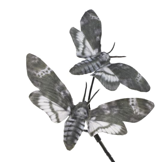 10" Grey Moth Pick by Ashland®